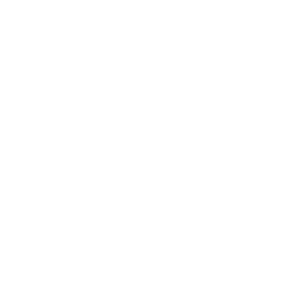 2in1 Logo